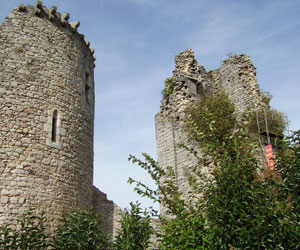 Détails du château de Lastours