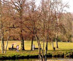 Parc de l'Aurence II à Limoges