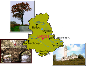 Haute-Vienne