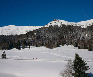 Le Font d'Alagnon au Lioran