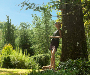 Visite et promenade dans l'arboretum