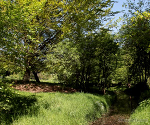 Au détour d'un chemin