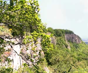 Les orgues d'origine volcanique