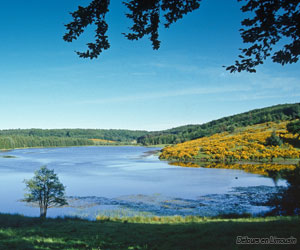 Etang des Oussines