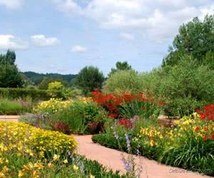 Le jardin provençal