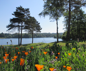 Vue sur le lac du Coiroux