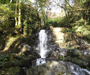 La cascade de La Roche