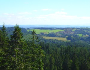 Vue de la tour panoramique du Mont Bessou