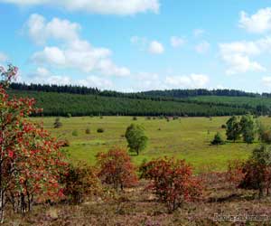 Le Plateau de Millevaches, le tourisme au coeur de la nature, des randonnées près des sources et des forêts