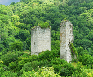 Les Tours Carbonnières au coeur de la forêt