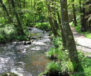 Sentier de randonnée