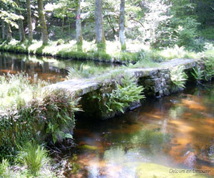 Un pont dit "planche" sur la Maulde