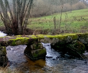 Pont planche de La Valette