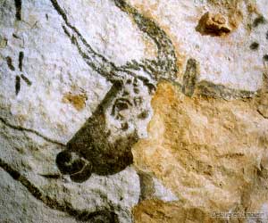 Grotte de Lascaux II