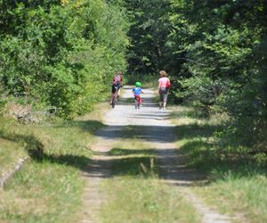 Voie verte de Saint-Pardoux-la-Rivière à Thiviers