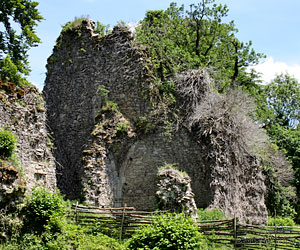 Vestiges du château