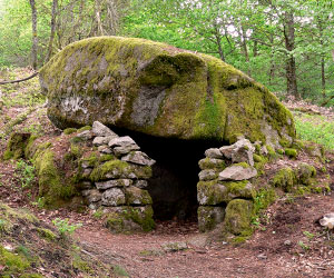 Une loge de berger dans la tourbière