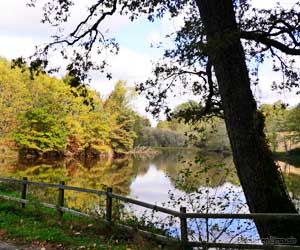 Etang à La-Chapelle-Montbrandeix