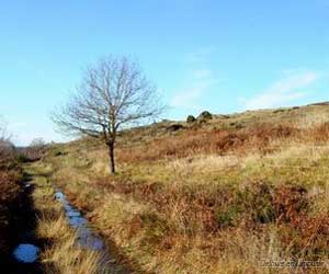 La Lande de Saint-Laurent en hiver