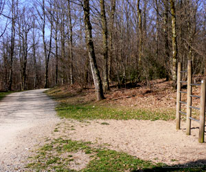 Circuit dans le bois de la Bastide