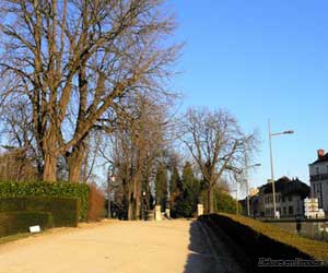 Le Jardin d'Orsay en hiver