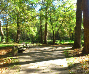 Allées du parc du Mas Rome