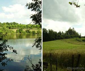 Etangs sur les sentiers autour de Saint-Mathieu