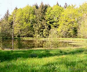 Au détour d'un point d'eau