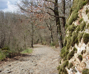 Vestiges de la Via Agrippa à Saint-Auvent (2007)