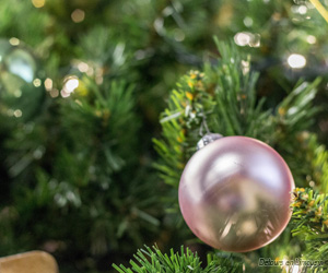 Noël 2014 en Limousin, les marchés