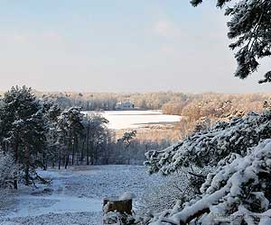 Forêts et plaines enneigées