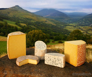 Fromages AOP d'Auvergne