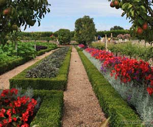 Jardin à la française